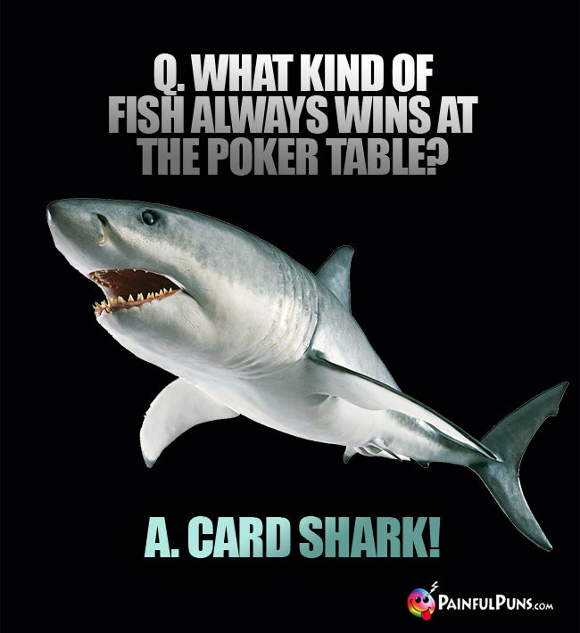 Q. What kind of fish always wins at the poker table? A. Card Shark!