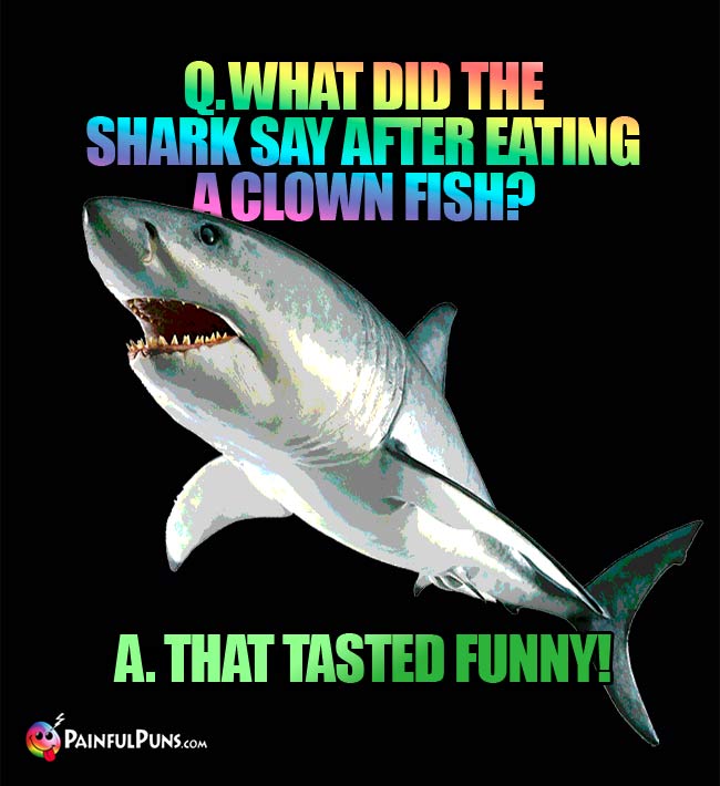 Q. What did the shark say after eating a clown fish? A. That tasted funny!
