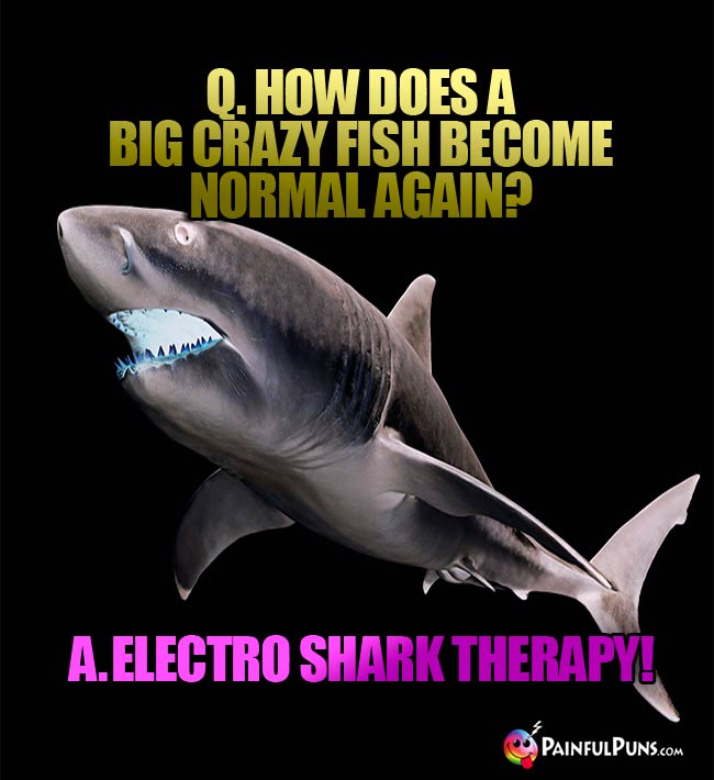 Q. How does a big crazy fish become normal again? A. Electro shark therapy!