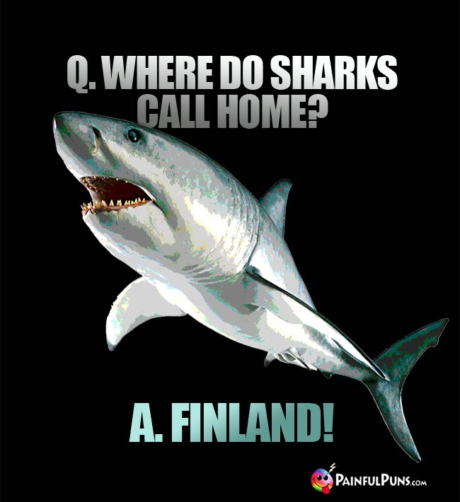 Q. Where do sharks call home? A. Finland!