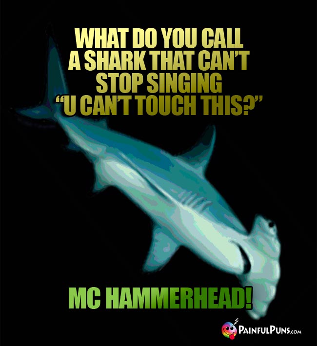 Q. What do you call a shark that can't stop singing "U Can't Touch This?" A. MC Hammerhead!