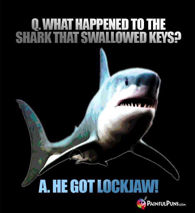 Q. What happened to the shark that swallowed keys? A. He got lockJaw!