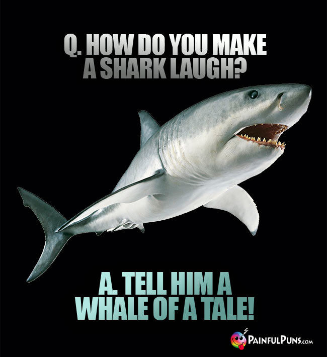 Q. How do you make a shark laugh? A. Tell him a whale of a tale!