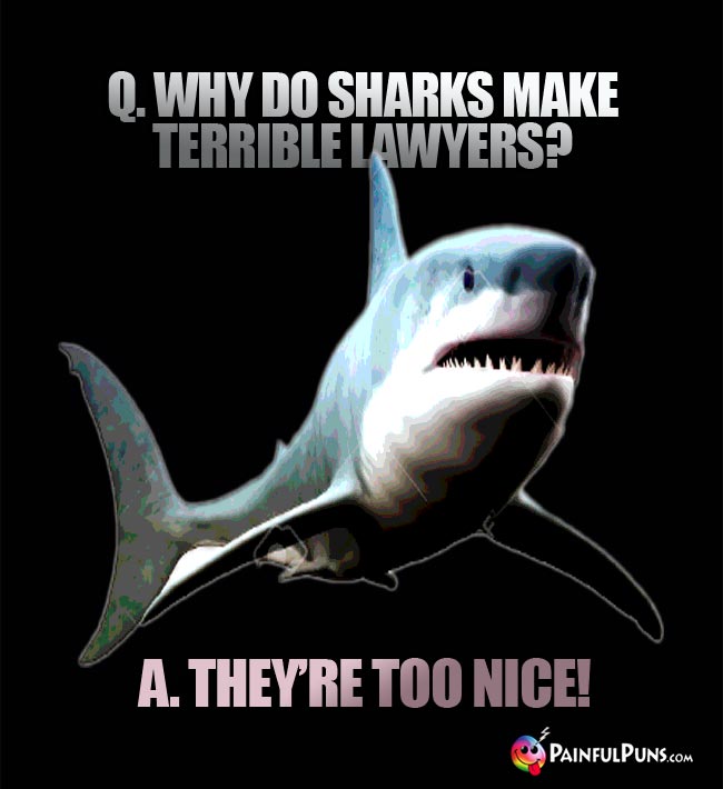 Q. Why do sharks make terrible lawyers? A. They're too nice!