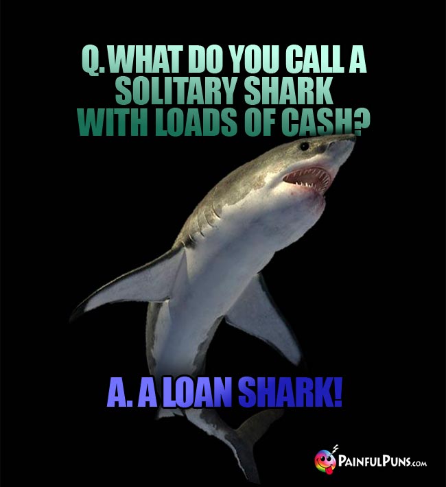 Q. What do you call a solitary shark with loads of cash? A. A loan shark!