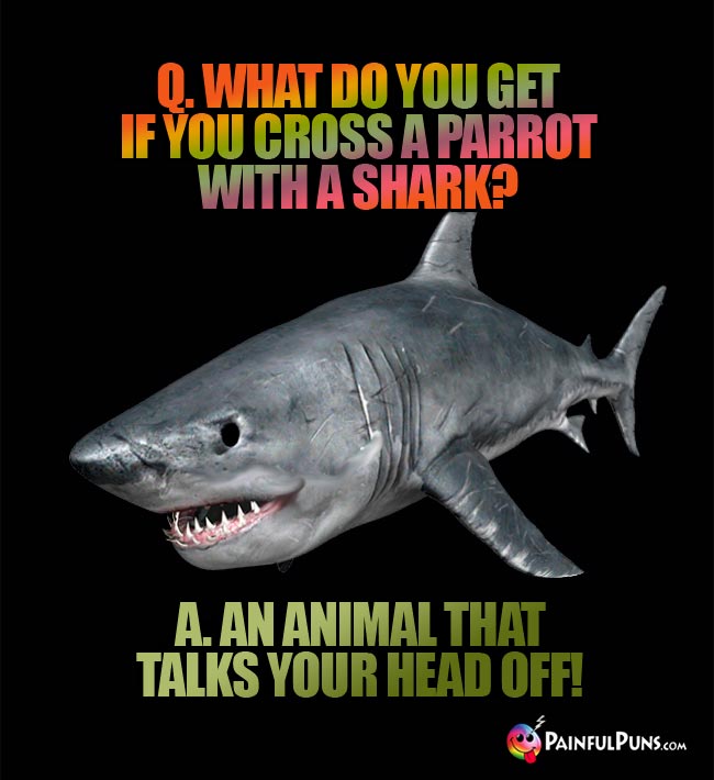 Q. What do you get if you cross a parrot with a shark? A. An animal that talks your head off!