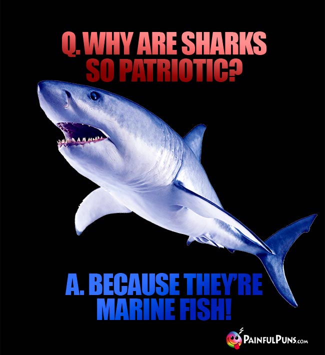Q. Why are sharks so patriotic? A. Because they're marine fish!