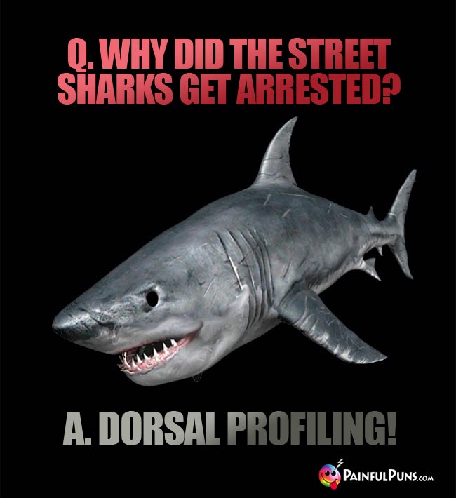 Q. Why did the street sharks get arrested? A. Dorsal Profiling!