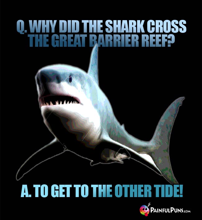 Q. Why did the shark cross the Great Barrier Reef? A. To get to the other tide!