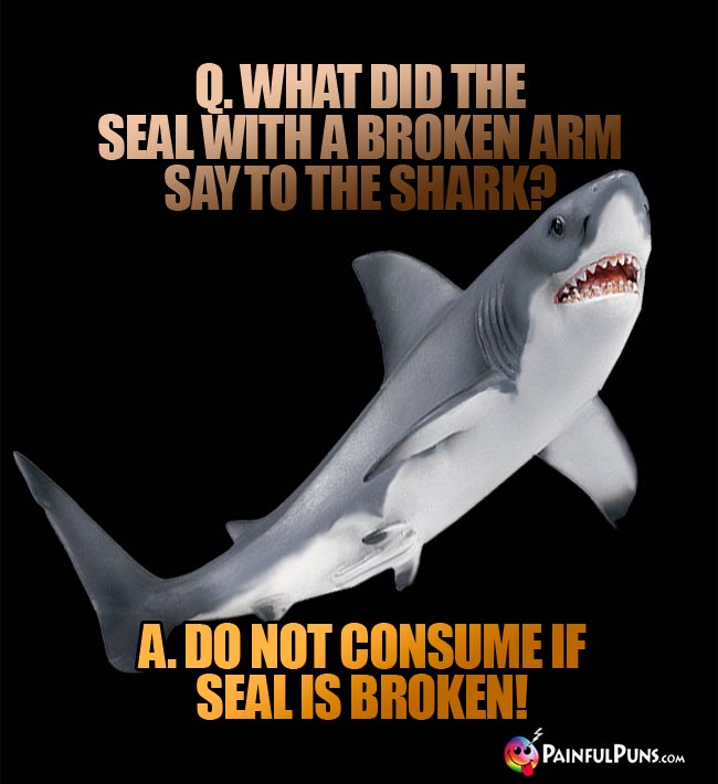 Q. What did the seal with a broken arm say to the shark? A. Do not consume if seal is broken!