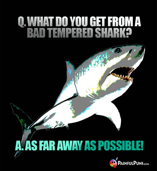 Q. What do you get from a bad tempered shark? A. As far away as possible!