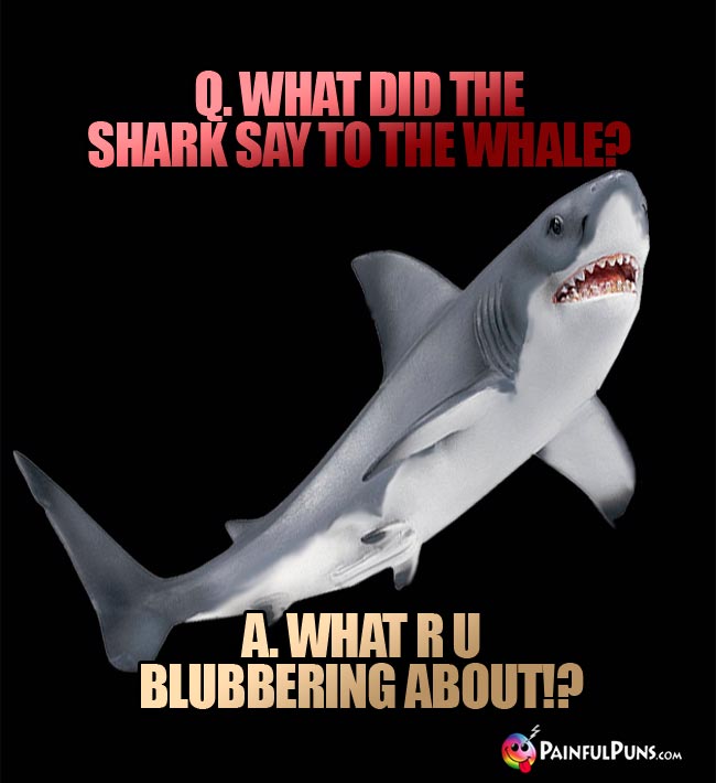 Q. What did the shark say to the whae? A. What R U blubbering about?