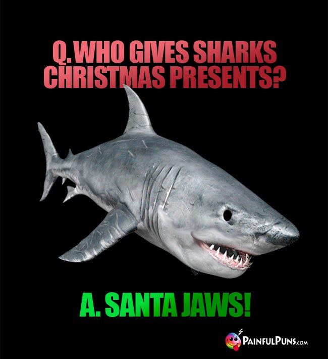 Q. Who gives sharks Christmas presents? A. Santa Jaws!