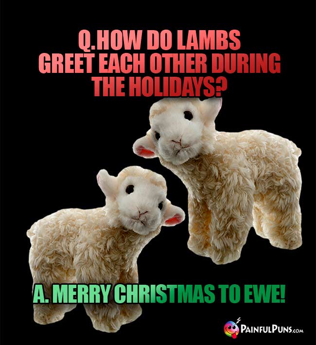q. How do lambs greet each other during the holidays? a. Merry Christmas To Ewe!