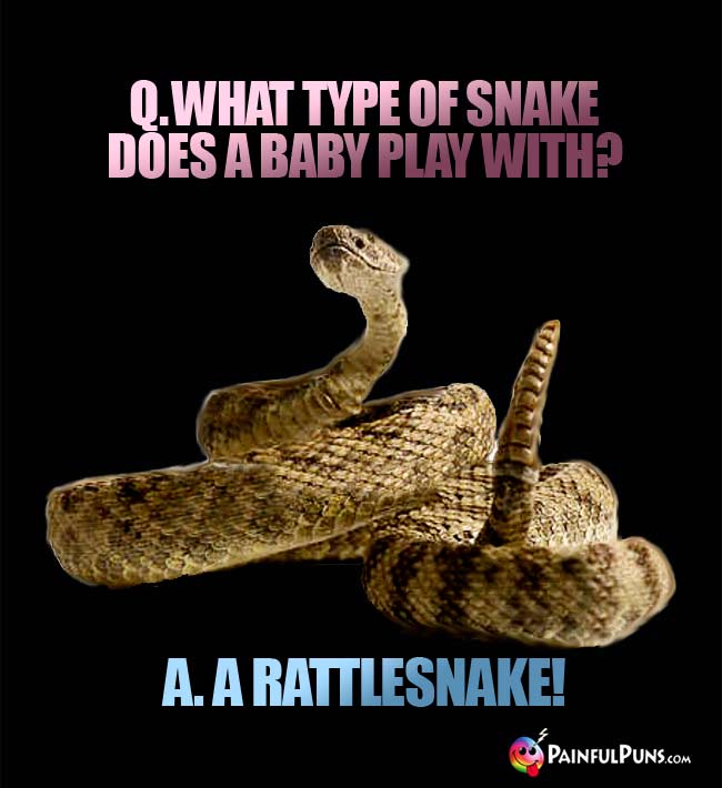 Q. What type of snake does a baby play with? A. A rattlesnake!