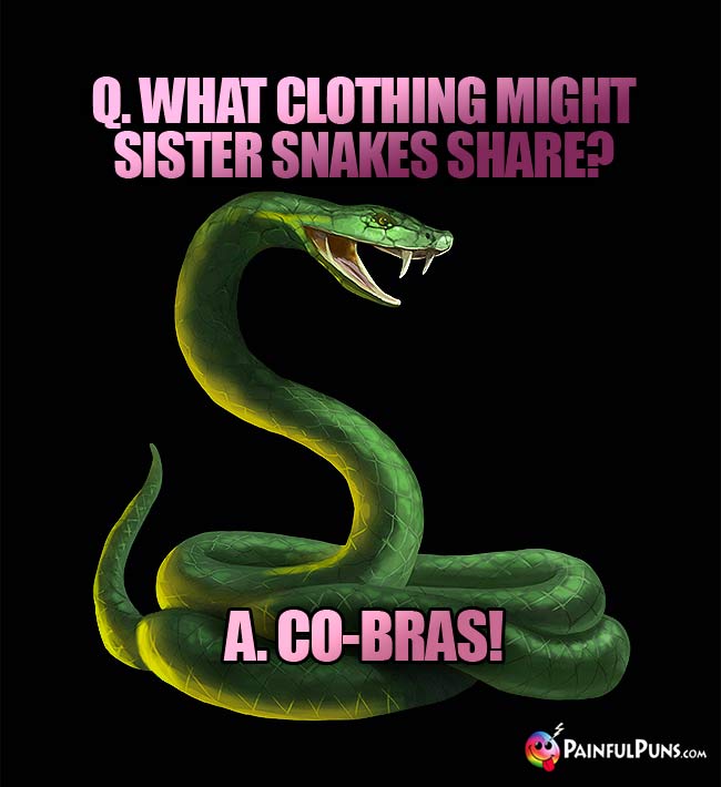 Q. What clothing might sister snakes share? A. Co-Bras!