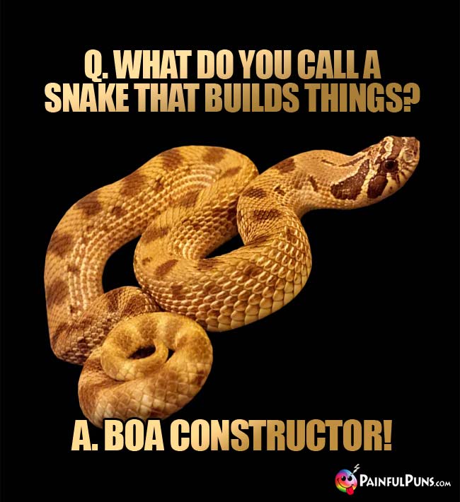 Q. What do you call a snake that builds things? A. boa Constructor!