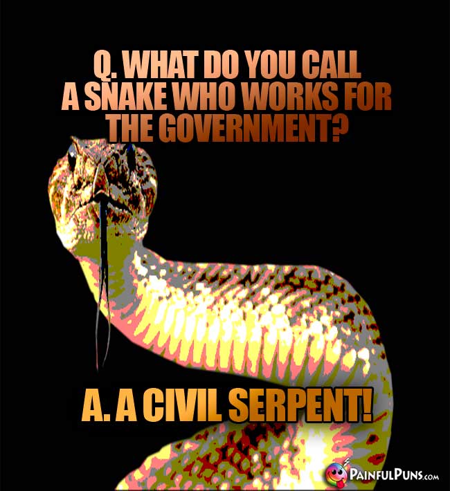 Q. What do you call a snake who works for the government? A. A civil serpent!