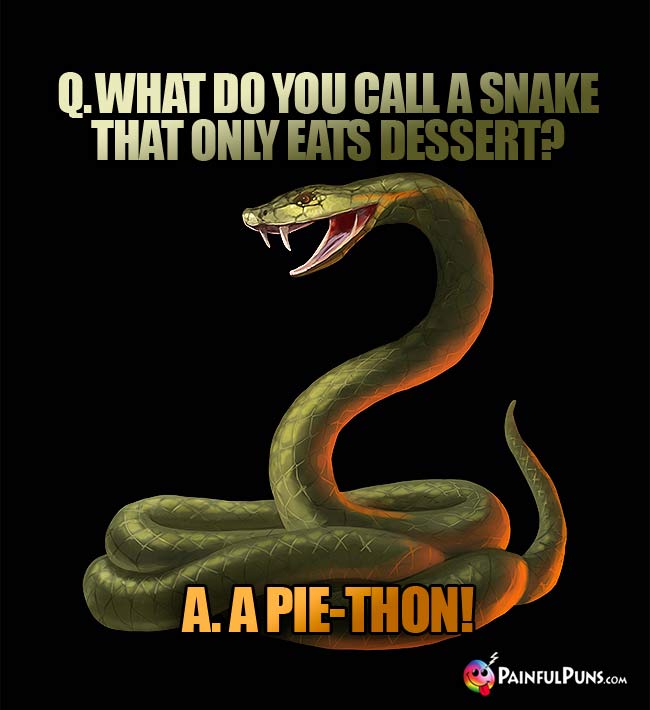 Q. What do you call a snake that only eats dessert? A. A Pie-Thon!