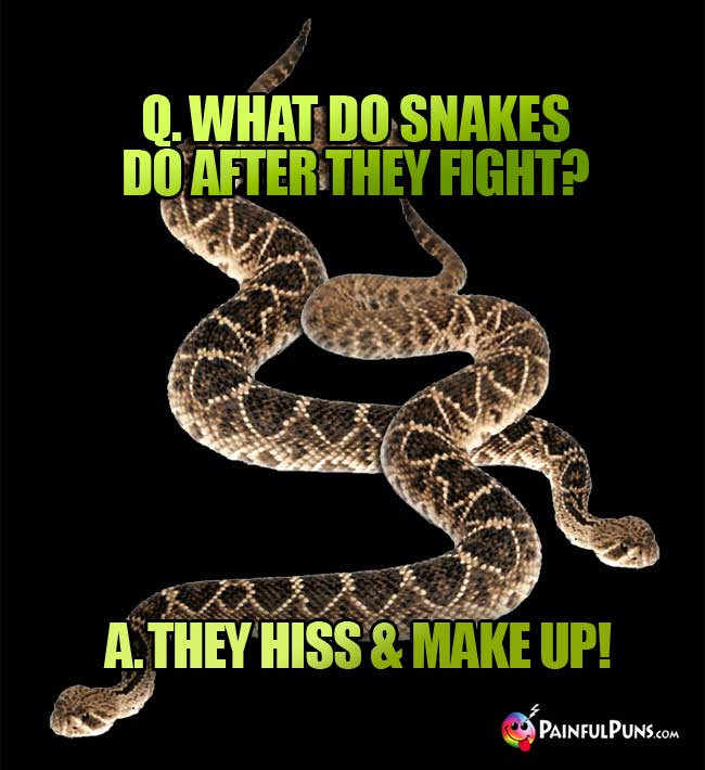 Q. What do snakes do after they fight? A. They hiss and make up!