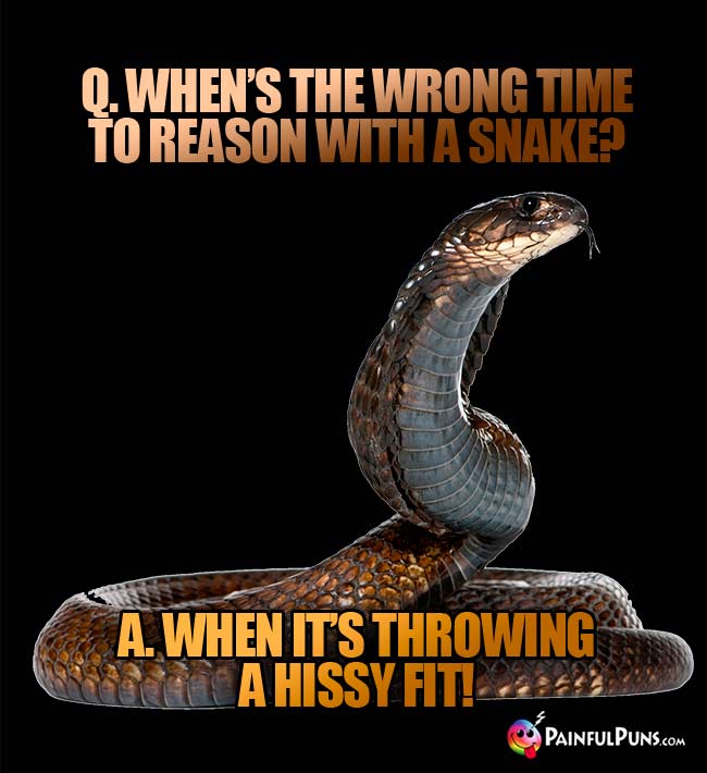 Q. When's the wrong time to reason with a snake? A. when it's throwing a hissy fit!