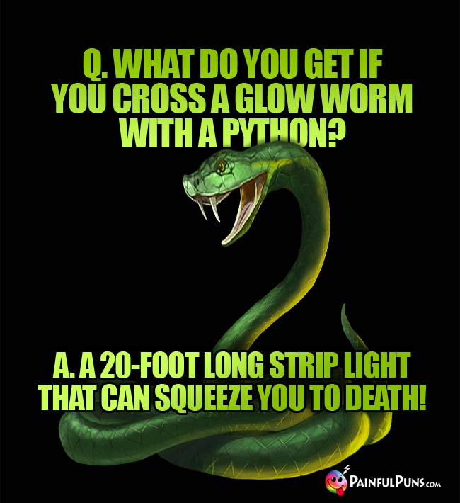 Q. What do you get if you cross a glow worm with a python? A. A 20-foot long strip light that can squeeze you to death!