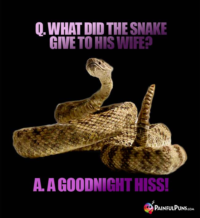 Q. What did the snake give to his wife? A. A goodnight hiss!