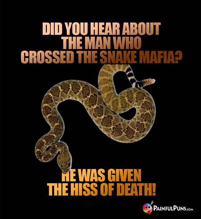 Did you hear about the man who crossed the snake mafia? He was given the hiss of death!