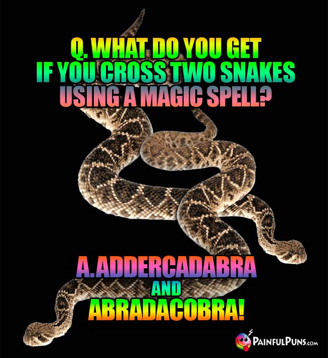 Q. What do you get if you cross two snakes using a magic spell? A. Addercadabra and abradacobra!