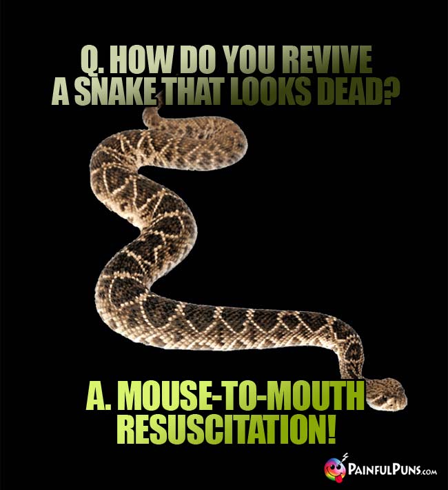 Q. How do you revive a snake that looks dead? A. Mouse-to-moth resuscitation!