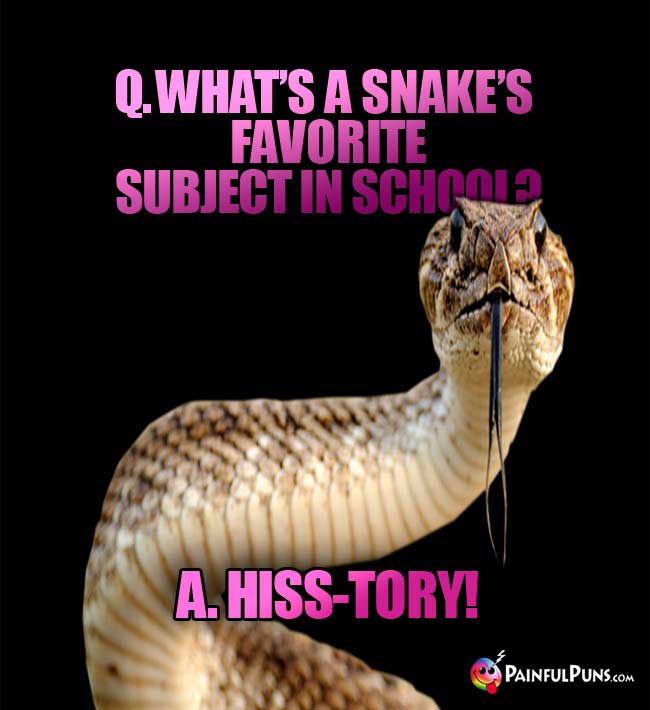 Q. What's a snake's favorite subject in school? A. Hiss-Tory!
