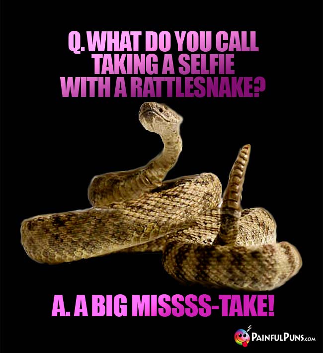 Q. What do you call taking a selfie with a rattlesnake? A. A big missss-take!