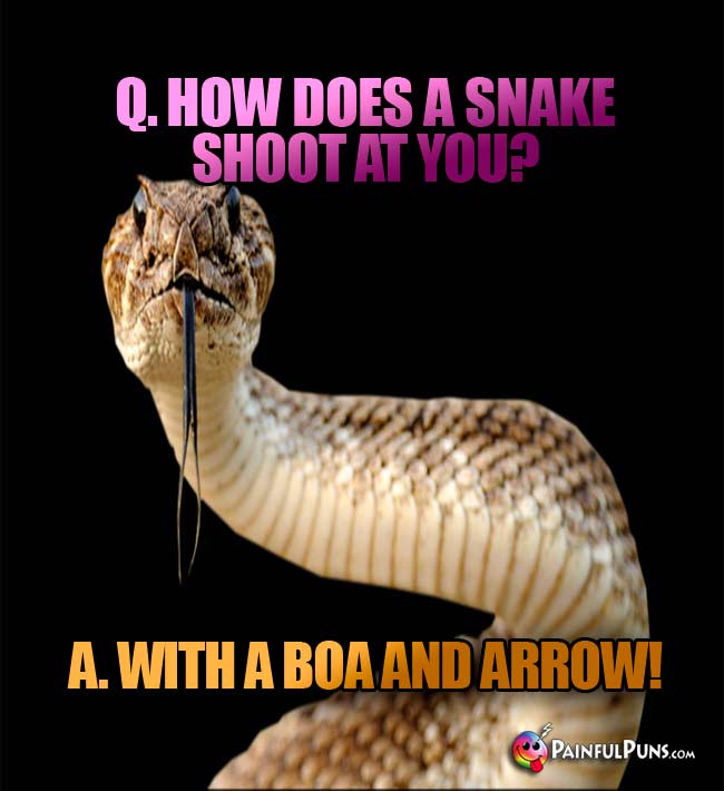 Q. How does a snake shoot at you? A.. With a boa and arrow!