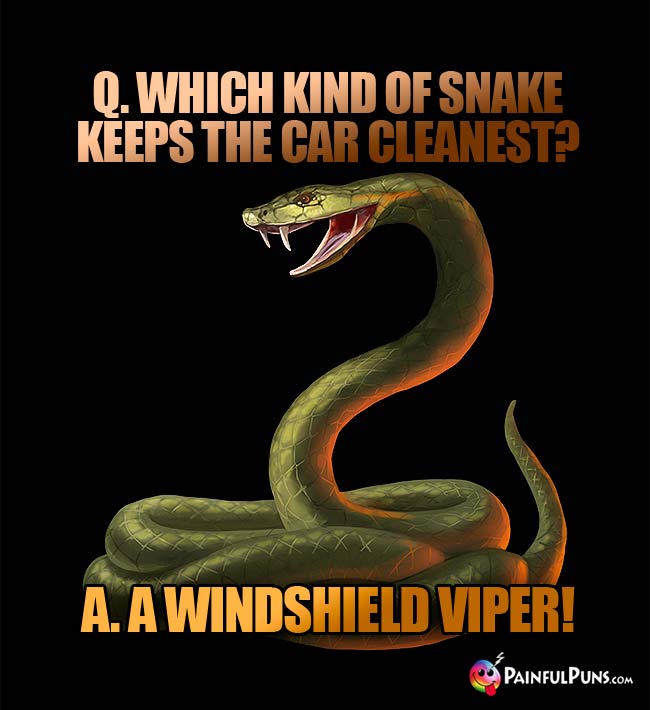 Q.. Which kind of snake keeps the car cleanest? a. A Windshield Viper!