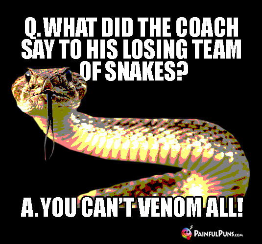 Q. What Did the Coach Say to His Losing Team of Snakes? A. You Can't Venom All!