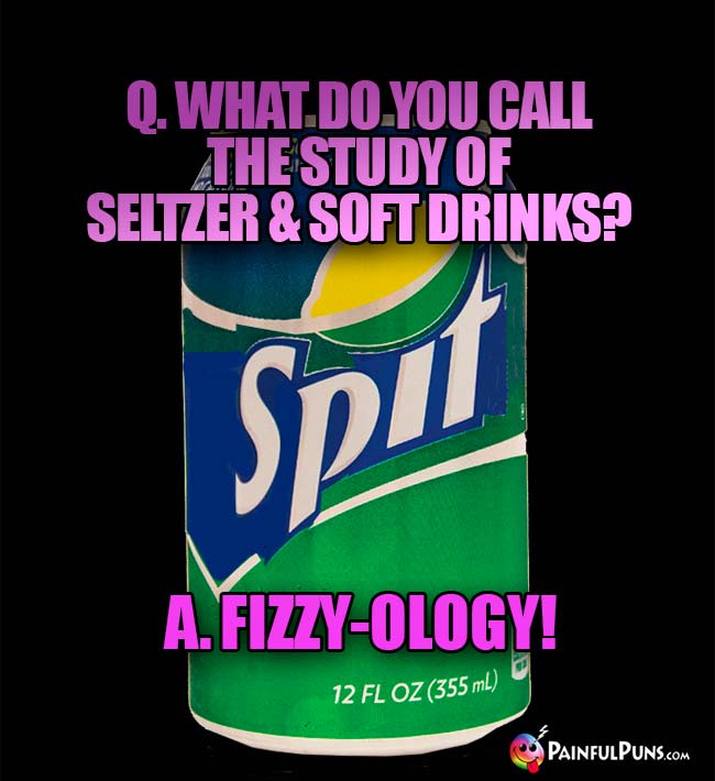 Q. What do you call the study of seltzer & soft drinks? A. Fizzy-ology!