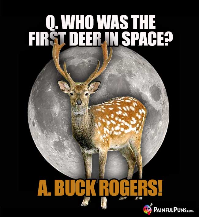 Q. Who was the first deer in space? A. Buck Rogers!