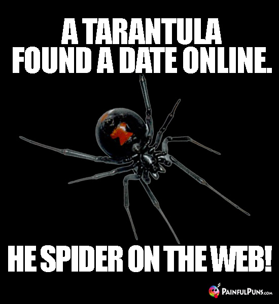 A tarantula found a date online. He spider on the web!