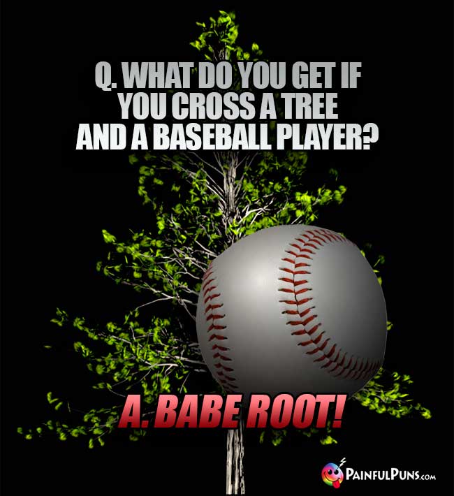Q. What do you get if you cross a tree and a baseball player? A. Babe Root!