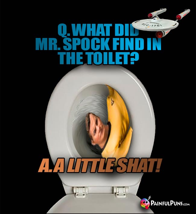 Q. What did Mr Spock find in the toilet? A. A Little Shat!