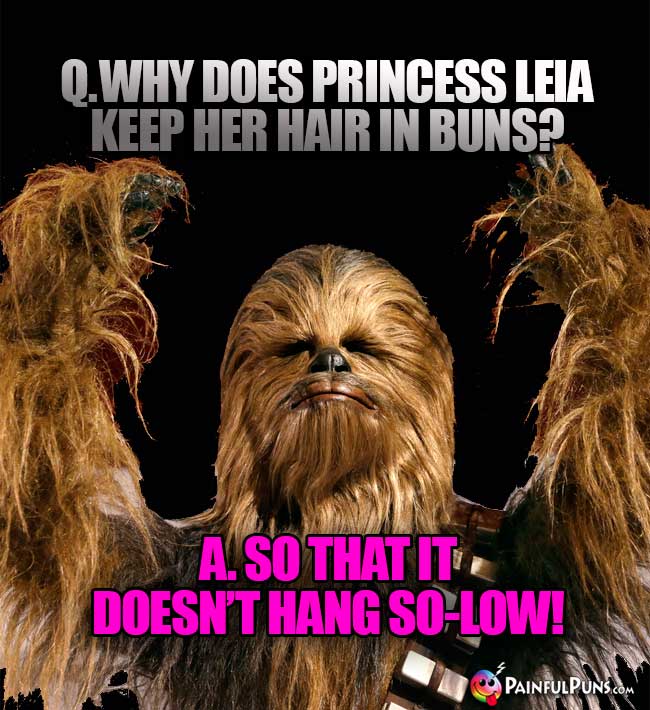 Q. Why does Princess Leia keep her hair in buns? A. So that it doesn't hang So-Low!