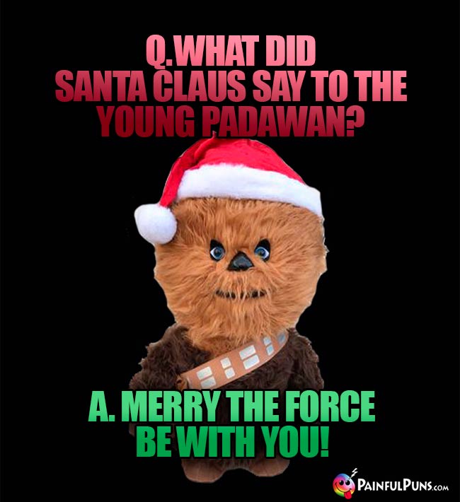 Q. What did Santa Claus say to the young Padawan? A. Merry the Force be with you!