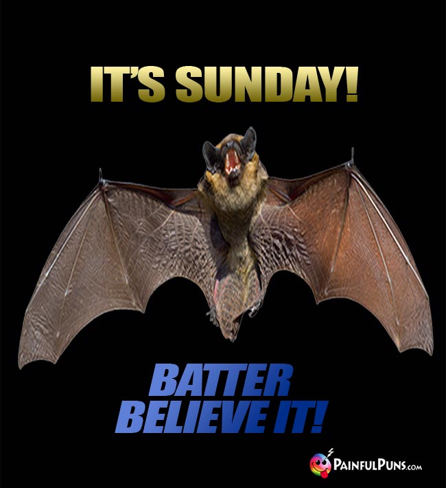 Flying Bat Says: It's Sunday! Batter Believe It!