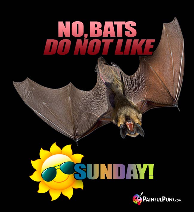Upsidedown Bat Says: No, Bats Do Not Like Sunday!