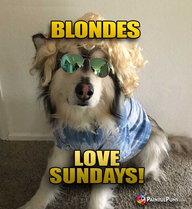 Dog wearing wig and sunglasses says: Blondes Love Sundays!