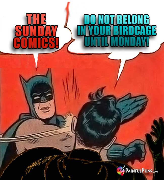 Batman Says: The Sunday comic do not belong in your birdcage until Monday!