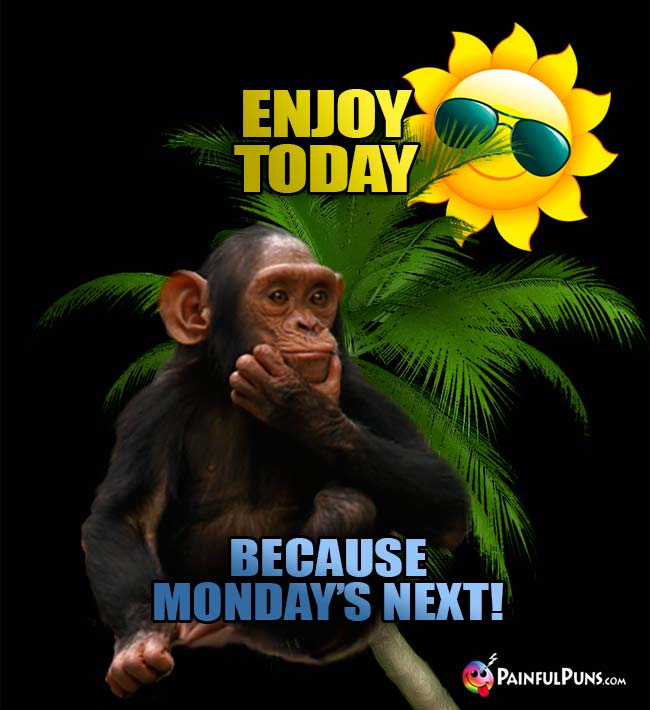 Chimp Says: Enjoy Today because Monday's next!