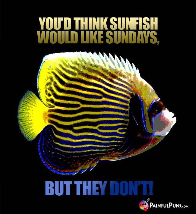 Fish says: You'd think sunfish would like Sundays, but they don't!