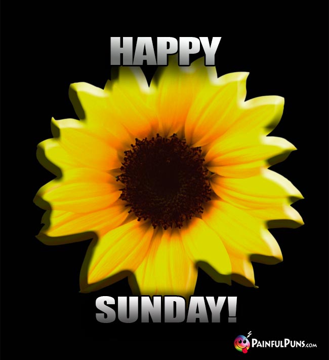Cheerful Sunflower Says: Happy Sunday!