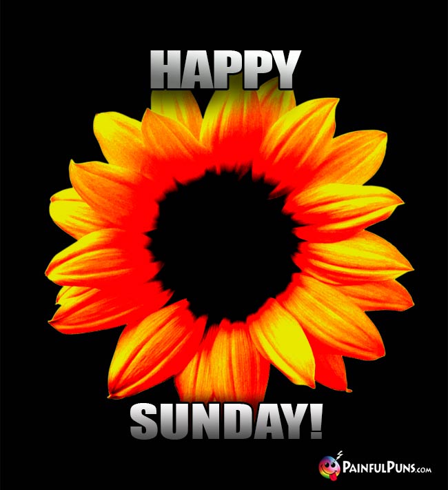 Hot Sunflower Says: Happy Sunday!